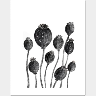 Poppies black and white plant design Posters and Art